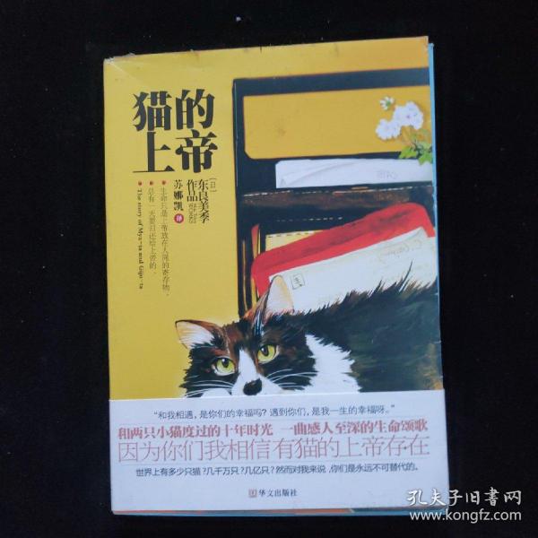 猫的上帝