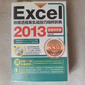 Excel2013数据透视表实战技巧精粹辞典