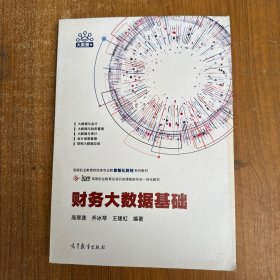 财务大数据基础
