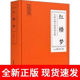 中国古典小说普及文库：红楼梦