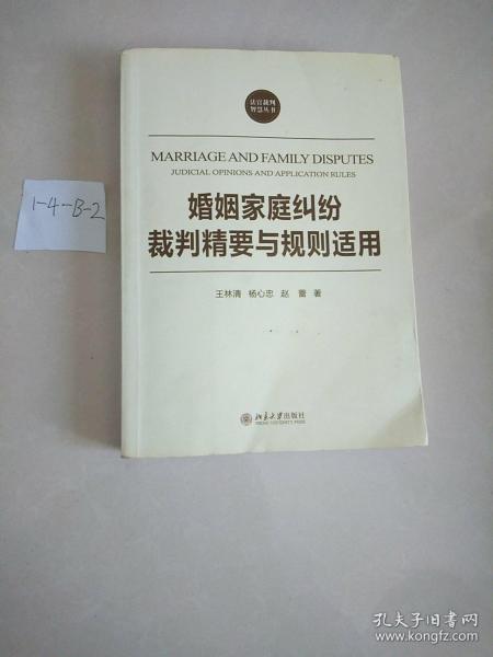 法官裁判智慧丛书：婚姻家庭纠纷裁判精要与规则适用