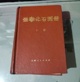 云南化石图册（下册）