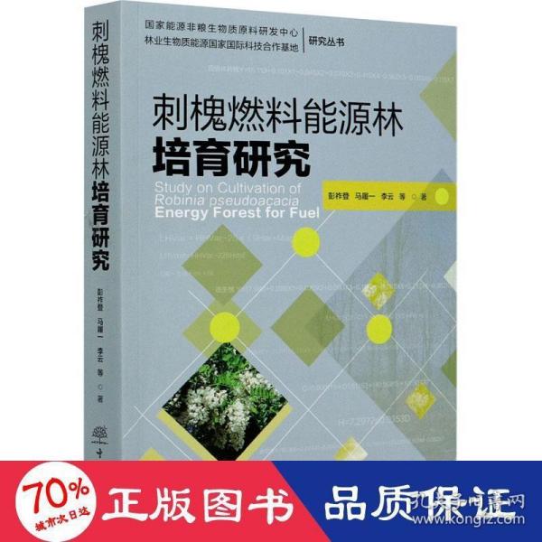 刺槐燃料能源林培育研究/国家能源非粮生物质原料研发中心林业生物质能源国家国际科技