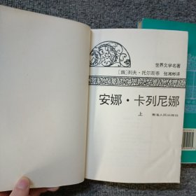 安娜.卡列尼娜 (上下)