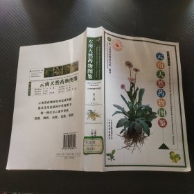 云南天然药物图鉴（第3卷）