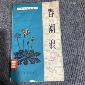 春潮浪
