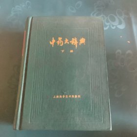 中药大辞典（下册）