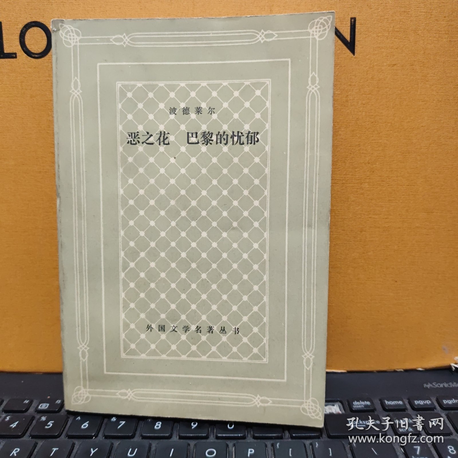 恶之花 巴黎的忧郁—外国文学名著丛书 网格本（1991年一版一印，私人藏书，图书有自然形成的黄斑，内页干净无笔记，详细参照书影）