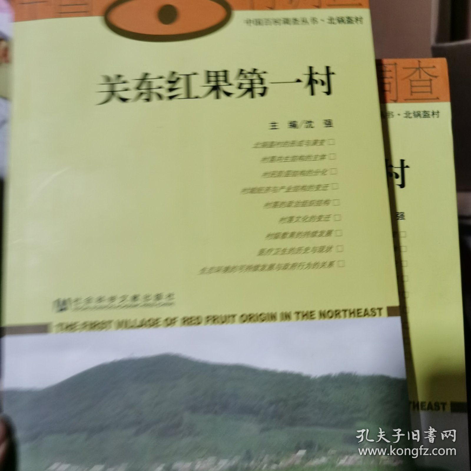 关东红果第一村