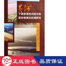 黄河下游游荡河段河势演变规律及机理研究 建筑工程 江恩惠//曹永涛//张林忠//赵寿刚//张清