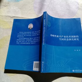 战略性新兴产业技术创新的空间形态演化研究