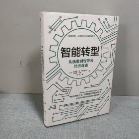 智能转型：从锈带到智带的经济奇迹