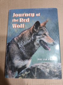 英文原版：Journey of the Red Wolf