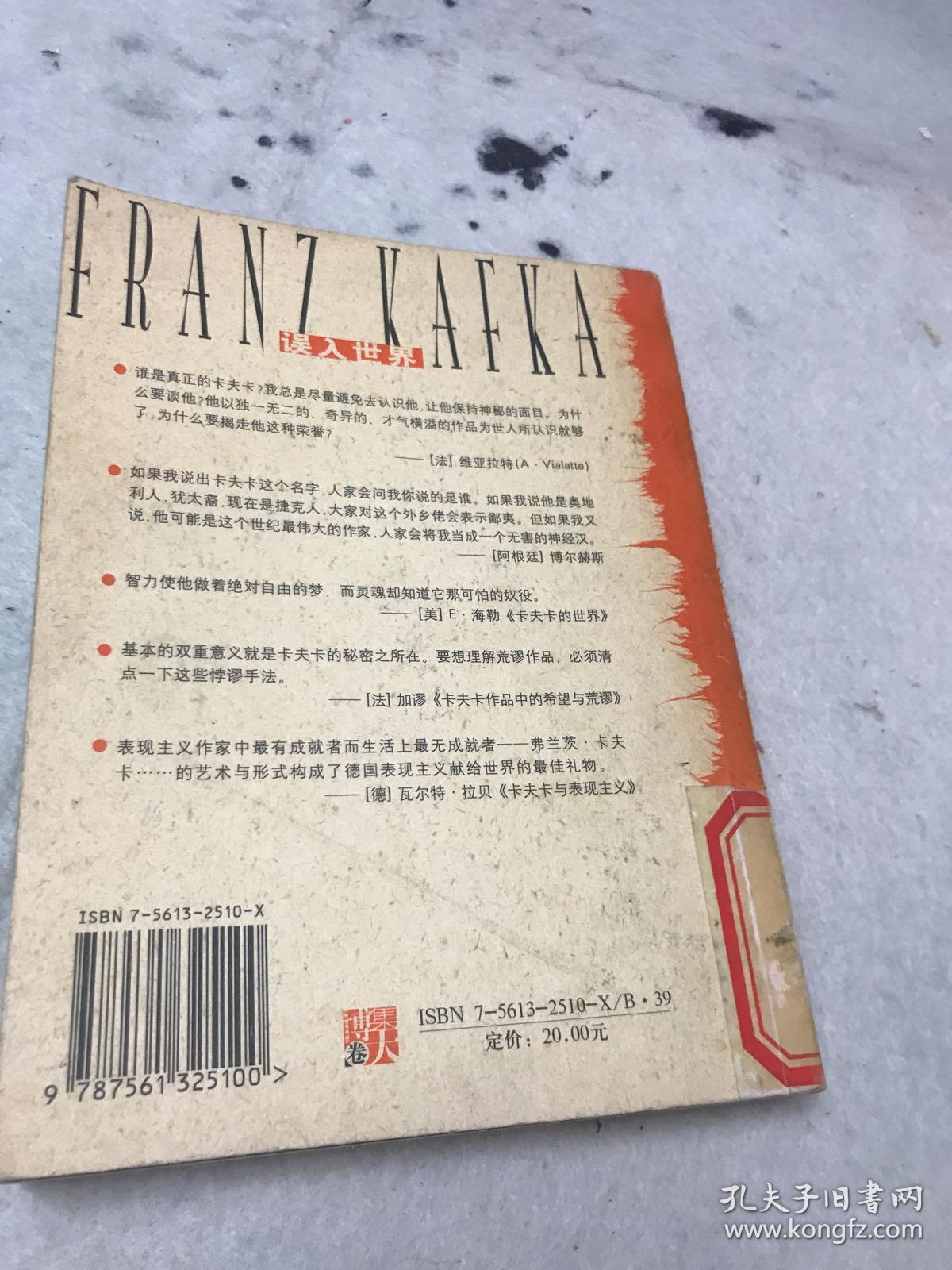 误入世界：卡夫卡悖谬论集