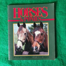 英文版:HORSES