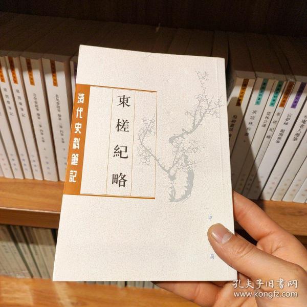 东槎纪略（清代史料笔记丛刊）