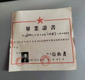 1963年下关市第一完全小学毕业证书