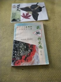 获奖作文选 初中组