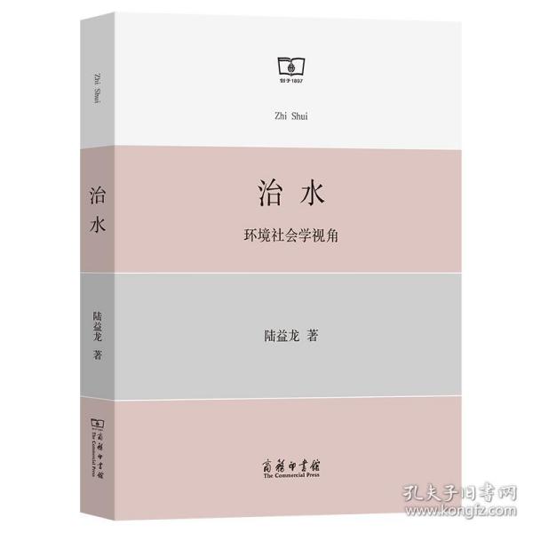 治水：环境社会学视角