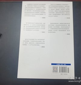 新质生产力（黄奇帆、洪银兴等高层智囊重磅发声，2024年读懂中国经济全新读本！这本书，带你跟上中国下一步！）