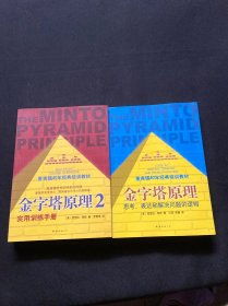 金字塔原理：思考、表达和解决问题的逻辑、金字塔原理2 两本合售