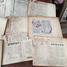 老剪报一组，1964年黄山太平县农业生产资料20页，有茶叶内容