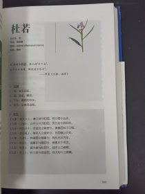 草木零落，美人迟暮：楚辞植物图鉴（精装）