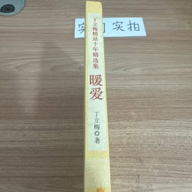 丁立梅精品十年精选集：暖爱
