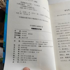 中国野生动物传奇-奇遇通灵小石貂