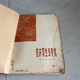 花卉写生与变化