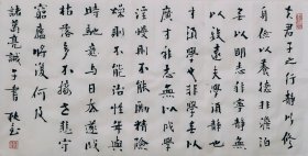 行书作品一幅40厘米X80厘米横幅毛笔手写 标价即为实价 诸葛亮诫子书