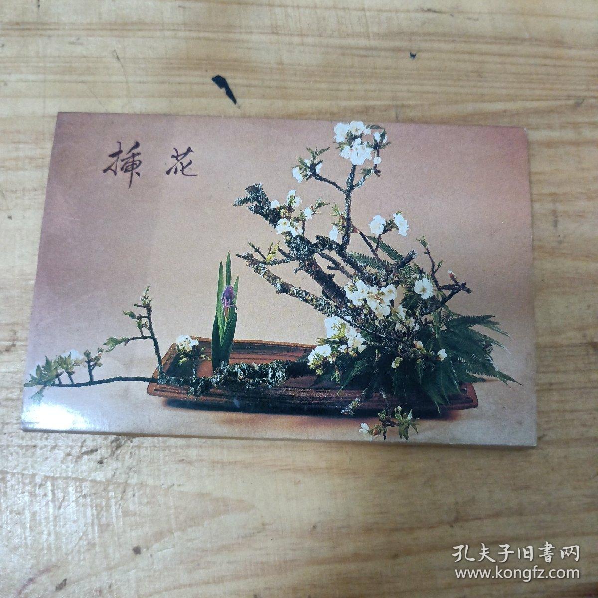 明信片 插花  10张