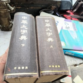 中华大字典上下卷