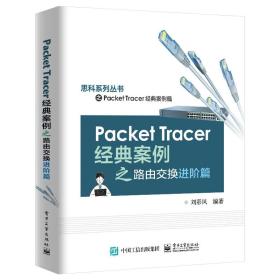 Packet Tracer经典案例之路由交换进阶篇