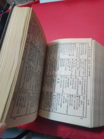 中华大字典(缩印本全二册)