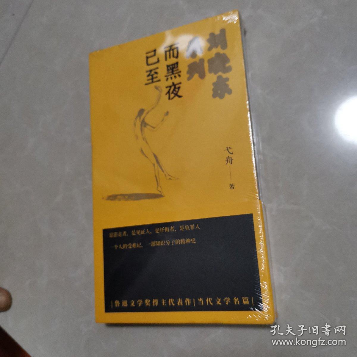 刘晓东系列：而黑夜已至