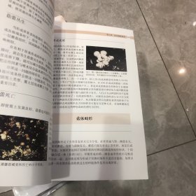 蘑菇病虫害防控彩图手册