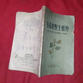 有毒的野生植物