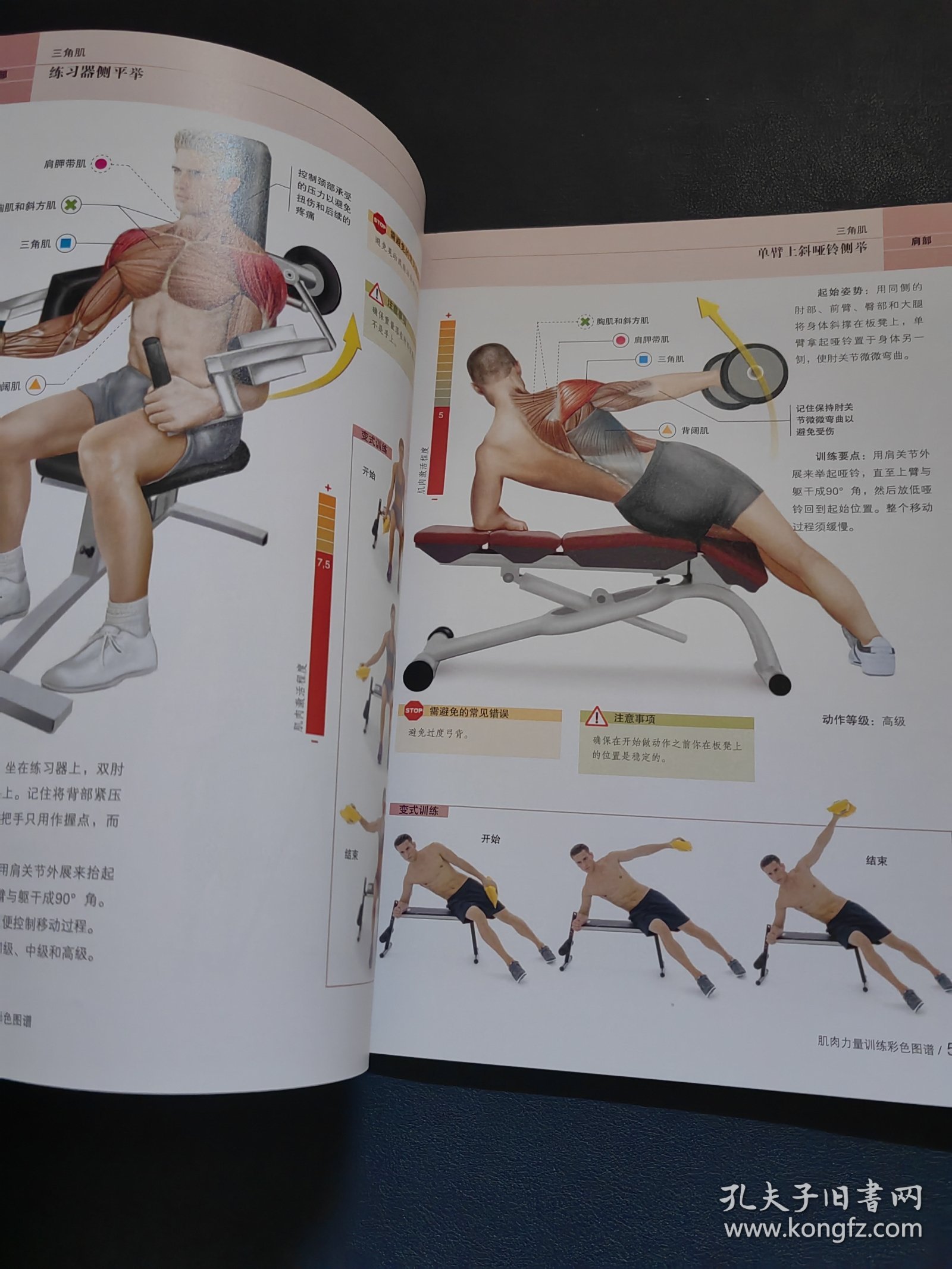 肌肉力量训练彩色图谱