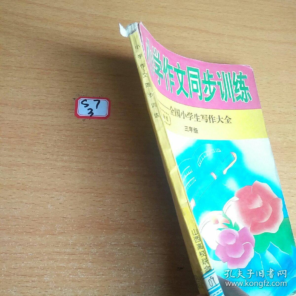 写作大全小学作文同步训练
