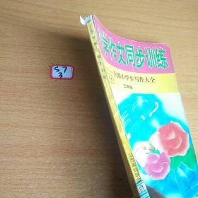 写作大全小学作文同步训练