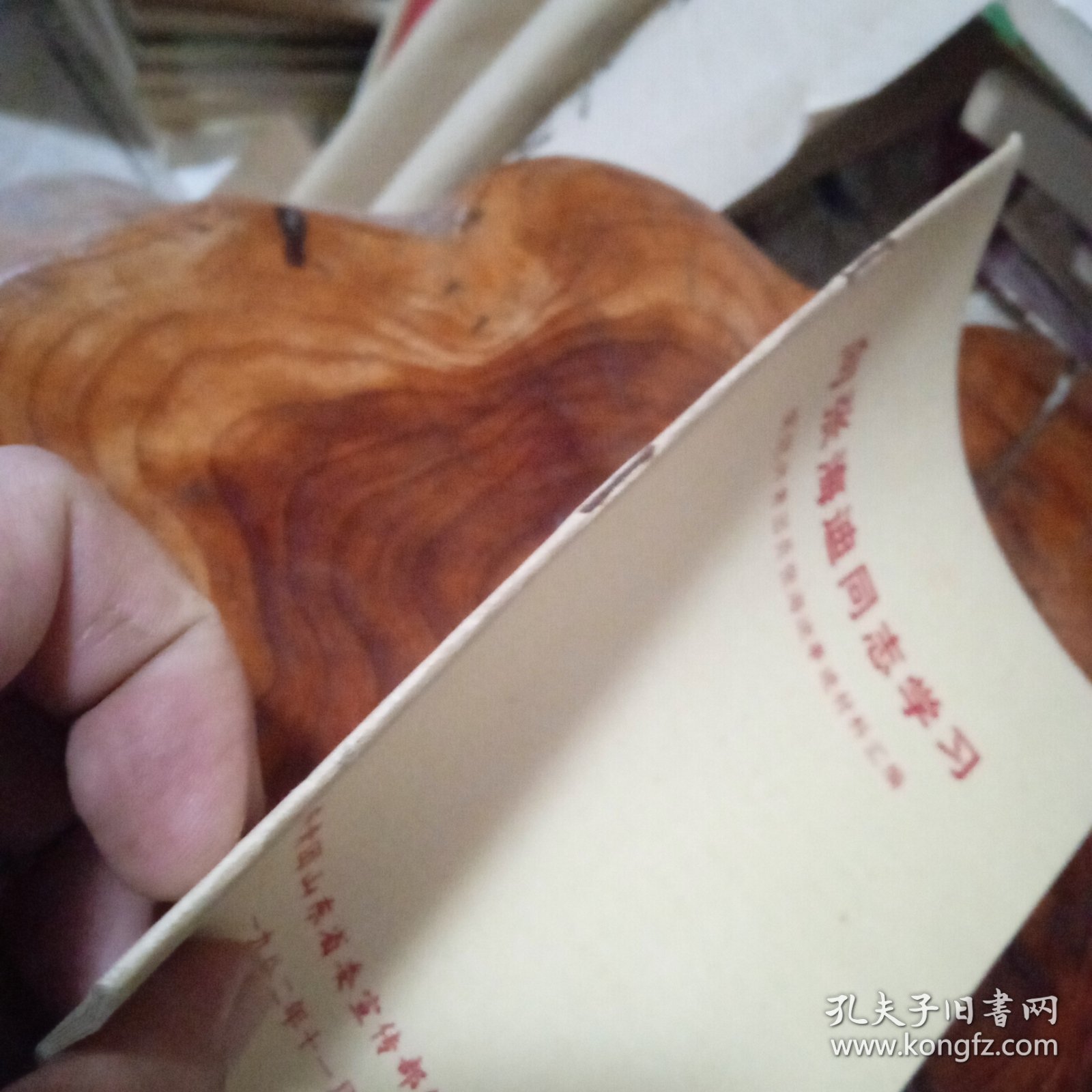 向张海迪同志学习模范共青团员张海迪事迹材料汇编