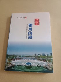 银川的湖