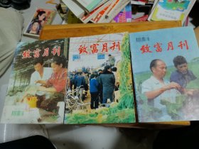 致富月刊（3本合售）