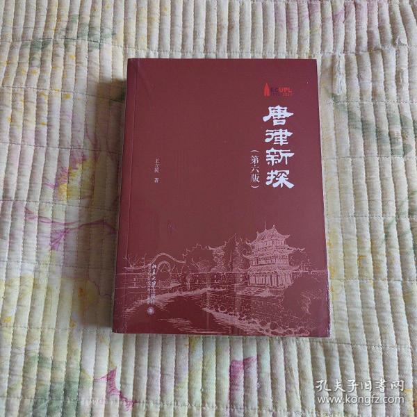 唐律新探（第六版）中国古代重要法典 全面体现中国古代法律制度水平 王立民