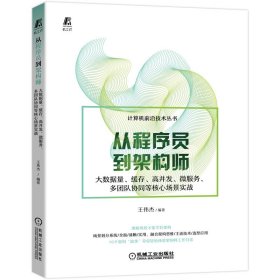 从程序员到架构师：大数据量、缓存、高并发、微服务、多团队协同等核心场景实战