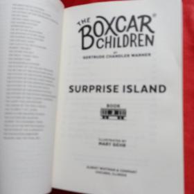 BLUE BAY MYSTERY、SURPRISE ISLAND