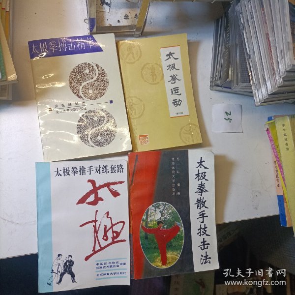 太极拳搏击精萃