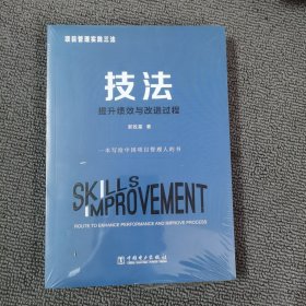 项目管理实践三法：技法:提升绩效与改进过程