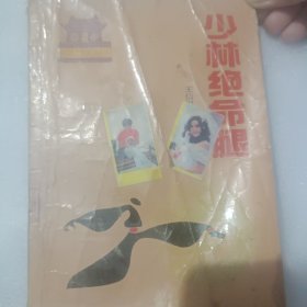 少林绝命腿